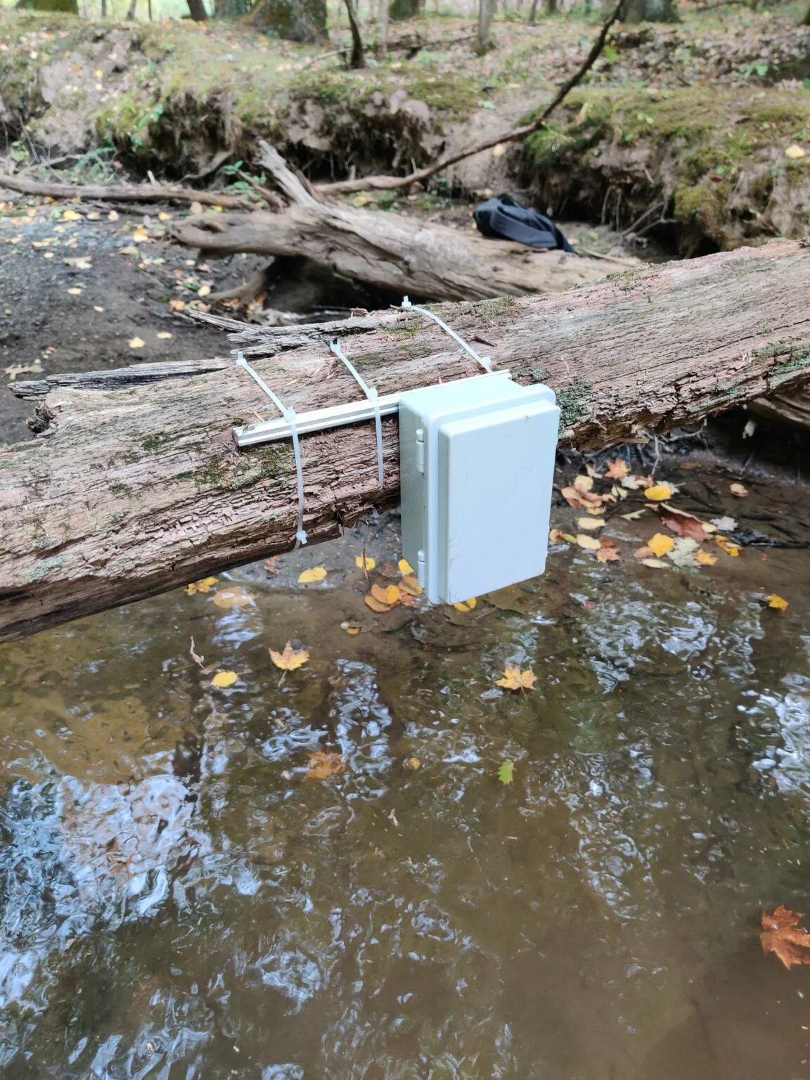 Aquametric device mounted to a log crossing over a stream